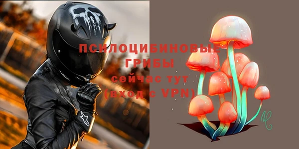 гашик Верея