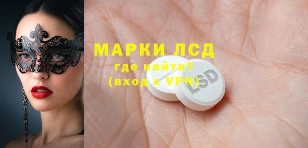 гашик Верея