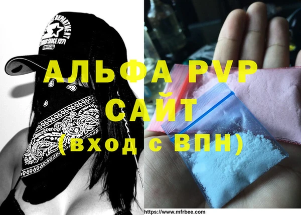 гашик Верея