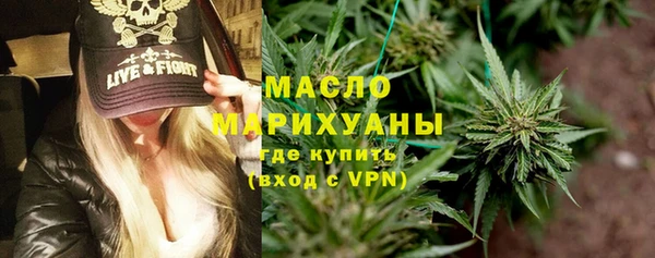 гашик Верея