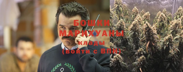 гашик Верея