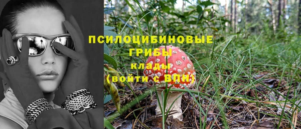 соль ск Верхнеуральск